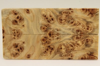 Plaquettes pour la coutellerie, Loupe de Peuplier stabilis&eacute; naturel, ref:PLpPEs76121na