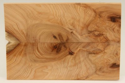 Plaquettes pour la coutellerie, If, ref:PIF76355