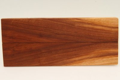 Plaquettes pour la coutellerie, Prunier, ref:PPRU76401