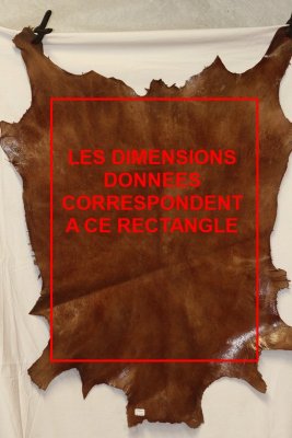 A-INFORMATION SUR LES DIMENSIONS DONNEES