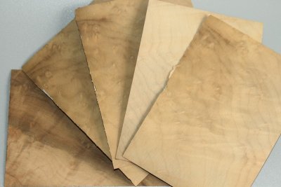 Feuille de placage, loupe de Laurel claire, ref:FLpLau7689