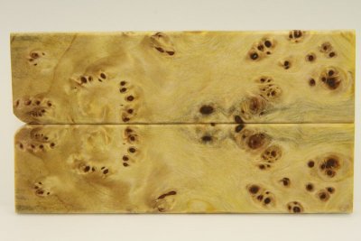 Plaquettes pour la coutellerie, Loupe de Peuplier stabilisé jaune, ref:PLpPEs38580j