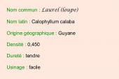 A-Origine