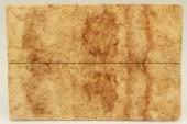 Plaquettes pour la coutellerie, Loupe d'Erable Ngundo stabilis naturel, ref:PLpErs53964na