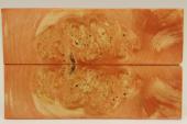 Plaquettes pour la coutellerie, Loupe d'Erable Ngundo stabilise orange, ref:PLpErs55121o