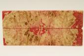 Plaquettes pour la coutellerie, Loupe d'Erable Ngundo stabilis rouge, ref:PLpErs58147r