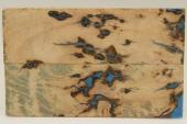 Plaquettes pour la coutellerie, loupe de Frêne + résine bleue, ref:PRLpFr59177