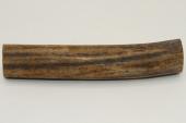Cerf Sambar, section de merrain, ref:SecMSam59377