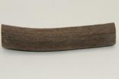 Cerf Sambar, section de merrain, ref:SecMSam59385