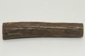 Cerf Sambar, section de merrain, ref:SecMSam59387