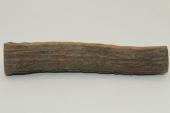 Cerf Sambar, section de merrain, ref:SecMSam59390