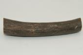 Cerf Sambar, section de merrain, ref:SecMSam59392