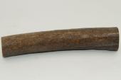 Cerf Sambar, section de merrain, ref:SecMSam59393
