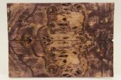 Plaquettes pour la coutellerie, Loupe de Peuplier stabilis violet, ref:PLpPEs60368vi