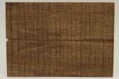 Plaquettes pour la coutellerie, Erable sycomore ond stabilis marron, ref:PESOs60544ma