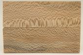 Plaquettes pour la coutellerie, Platane, ref:PPL64274