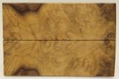 Plaquettes pour la coutellerie, Loupe de Laurel stabilise, ref:PLpLaurs64946