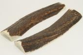 Cerf europen, bois prpar en plaquettes pour la coutellerie, ref:PBCerf66084