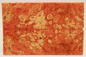 Plaquettes pour la coutellerie, Loupe d'Erable Ngundo stabilise orange, ref:PLpErs60562o