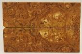 Plaquettes pour la coutellerie, Loupe d'Erable Ngundo stabilis marron, ref:PLpErs67679ma