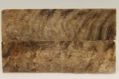 Plaquettes pour la coutellerie, corne de blier, ref:PBLR69078
