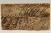 Plaquettes pour la coutellerie, corne de blier, ref:PBLR69073