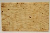 Plaquettes pour la coutellerie, Loupe d'Erable Ngundo stabilis naturel, ref:PLpErs69065na