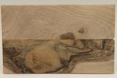 Plaquettes pour la coutellerie, Noyer, ref:PN69240