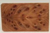 Plaquettes pour la coutellerie, Loupe de Squoia stabilis naturel, ref:PLpSqs69270