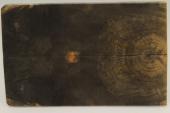 Plaquettes pour la coutellerie, ronce de Buis stabilise naturelle, ref:PLpBUs69278