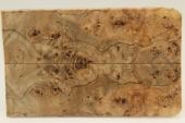 Plaquettes pour la coutellerie, Loupe de Peuplier stabilis naturel, ref:PLpPEs69312na