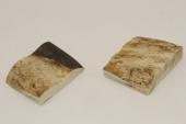 Mitres, dfense de phacochre, ref:MPHACO69420