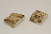 Mitres, dfense de phacochre, ref:MPHACO69422