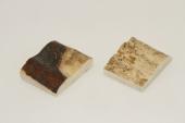 Mitres, dfense de phacochre, ref:MPHACO69423