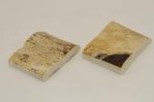 Mitres, dfense de phacochre, ref:MPHACO69418