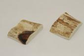 Mitres, dfense de phacochre, ref:MPHACO69425