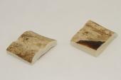Mitres, dfense de phacochre, ref:MPHACO69426