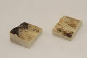 Mitres, dfense de phacochre, ref:MPHACO69427
