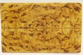 Plaquettes pour la coutellerie, Bouleau de Carlie stabilis jaune, ref:PBMs69444j