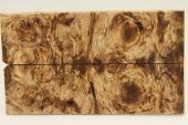 Plaquettes pour la coutellerie, Loupe de Peuplier stabilis marron, ref:PLpPEs69578ma