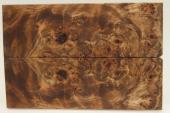 Plaquettes pour la coutellerie, Loupe de Peuplier stabilis marron, ref:PLpPEs69582ma