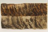 Plaquettes pour la coutellerie, corne de blier, ref:PBLR69761