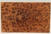 Plaquettes pour la coutellerie, Ronce de Thuya du Maroc, ref:PLpTM69794