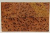 Plaquettes pour la coutellerie, Ronce de Thuya du Maroc, ref:PLpTM69796