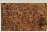 Plaquettes pour la coutellerie, Ronce de Thuya du Maroc, ref:PLpTM69797