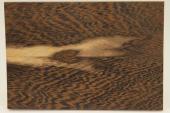 Plaquettes pour la coutellerie, Bois quitable, Acacia d'Afrique, ref:PAcAf69939