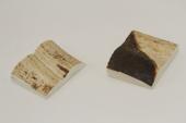 Mitres, dfense de phacochre, ref:MPHACO70049