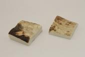Mitres, dfense de phacochre, ref:MPHACO70050