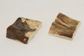 Mitres, dfense de phacochre, ref:MPHACO70051