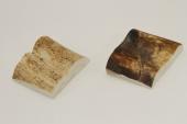 Mitres, dfense de phacochre, ref:MPHACO70055
